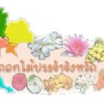 ดอกไม้ประจำจังหวัด