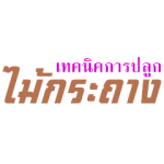 ความหมายของไม้กระถาง