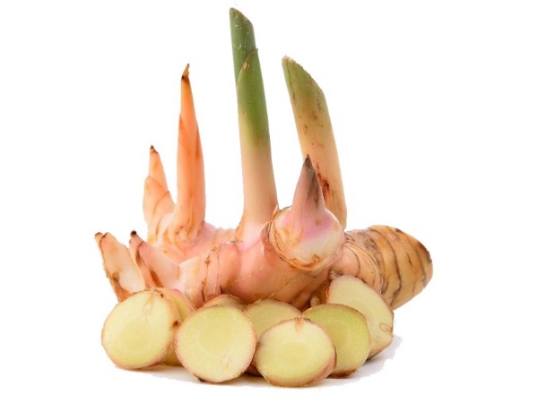 ข่า (Galangal)