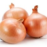 หอมหัวใหญ่ (Onion)