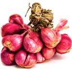 หอมแดง (Shallot)